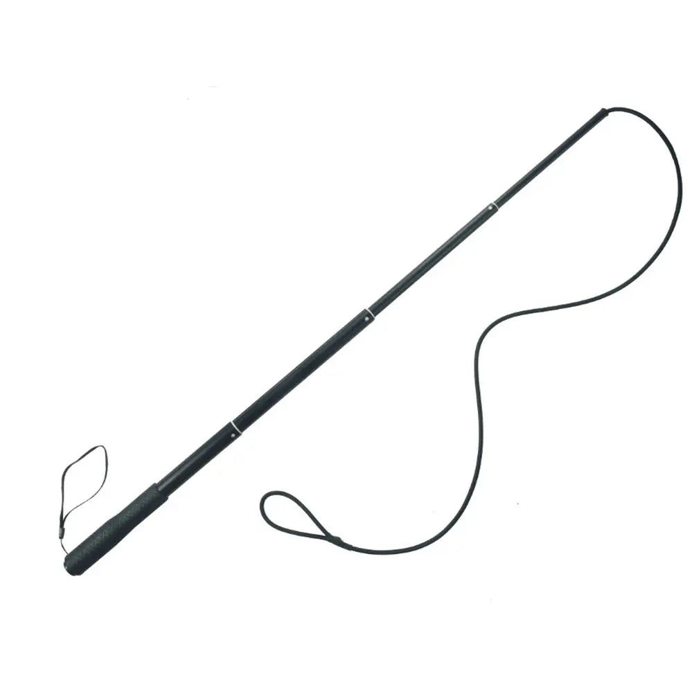 Retractable Dog Trainer Interactive Outside Chew Stick Pet Training