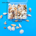 Mixed Mini Seashells Bulk – Crafts, Vase Filler & Fish Tank Decor Craft Shell Decor Zpaxo color 1