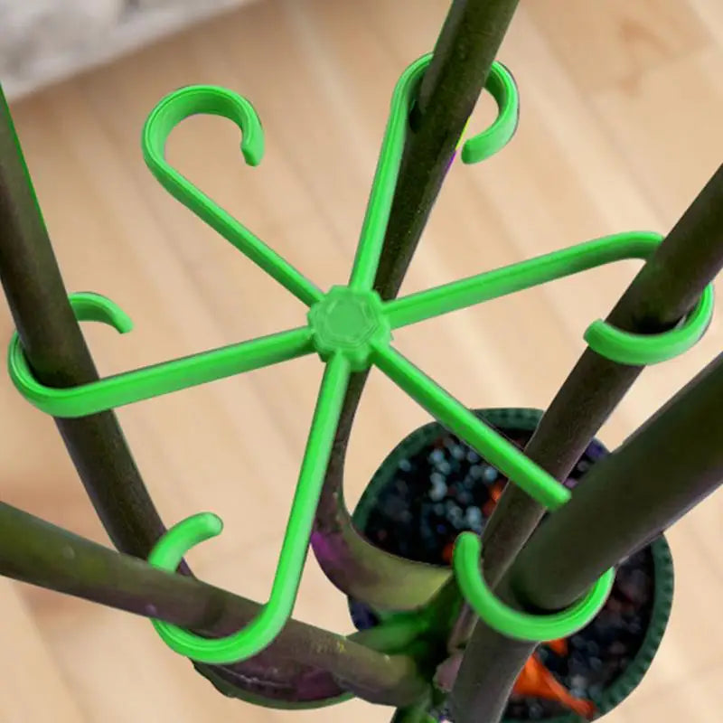 Plant Support Alocasia Monstera Leaf Garden Fixing Clis Vine Stem