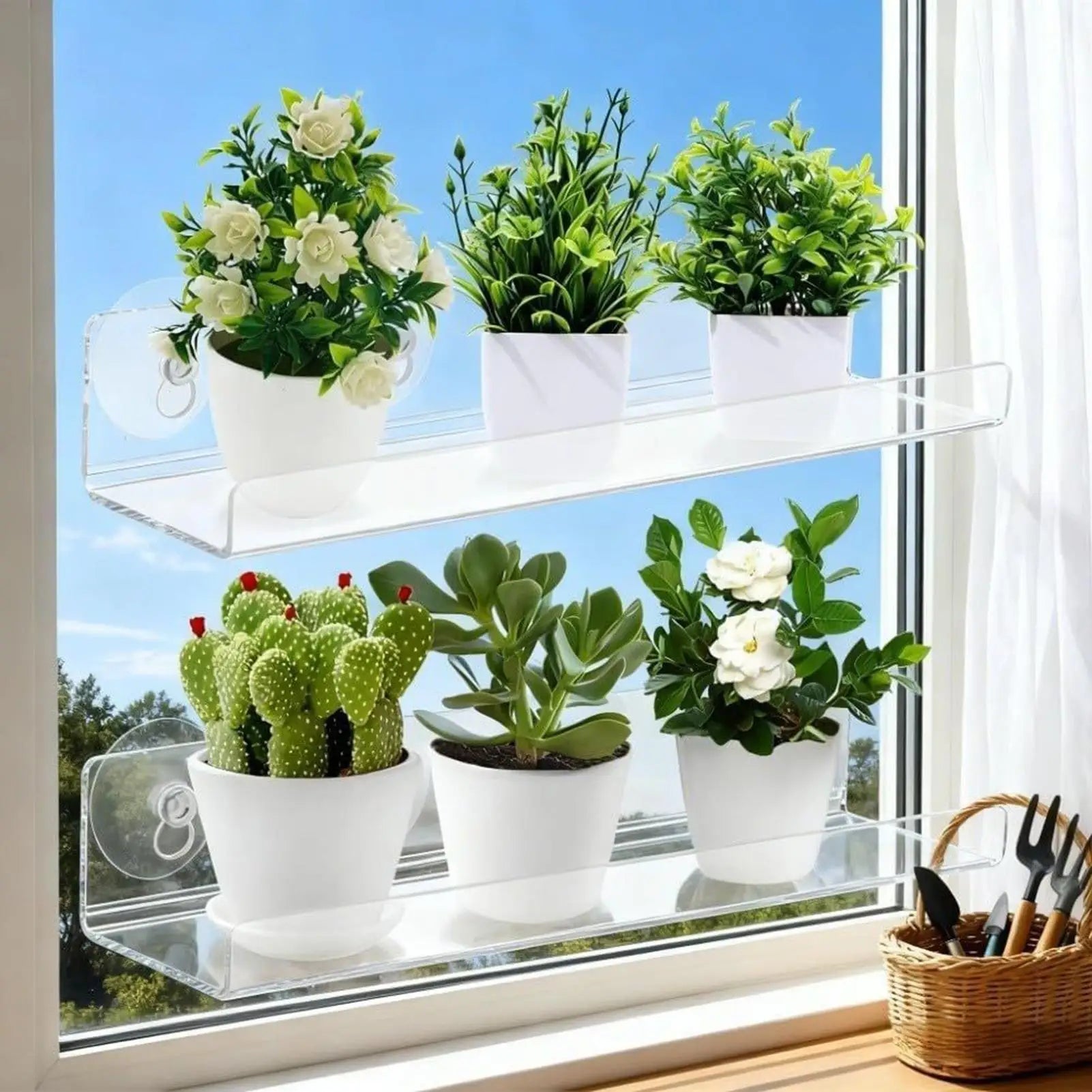 Plant Shelf for Window 2 Pieces Clear Suction Cup Planter Stand Indoor Plant Display Rack for Home Apartment Nature Lovers Zpaxo