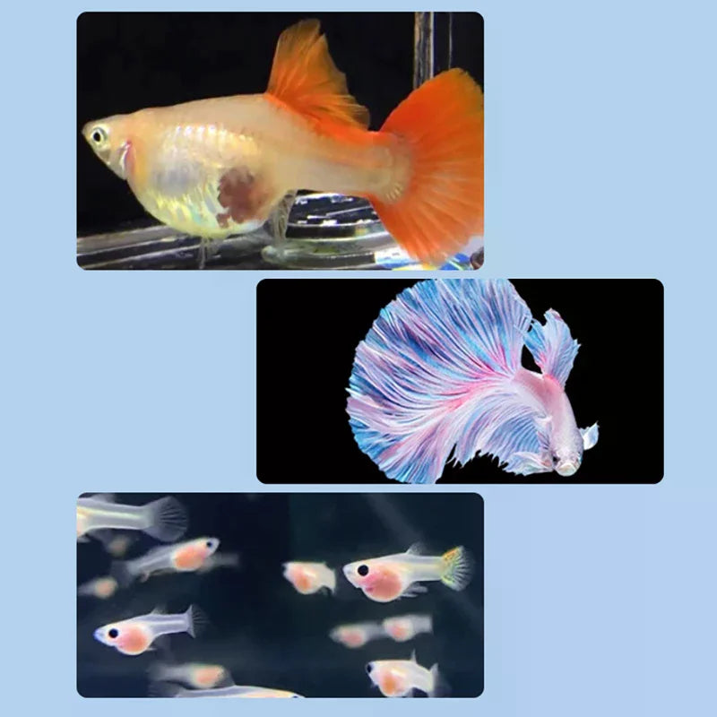 Floating Fish Breeding Isolation Box Aquarium Tank Hatching Incubator Zpaxo