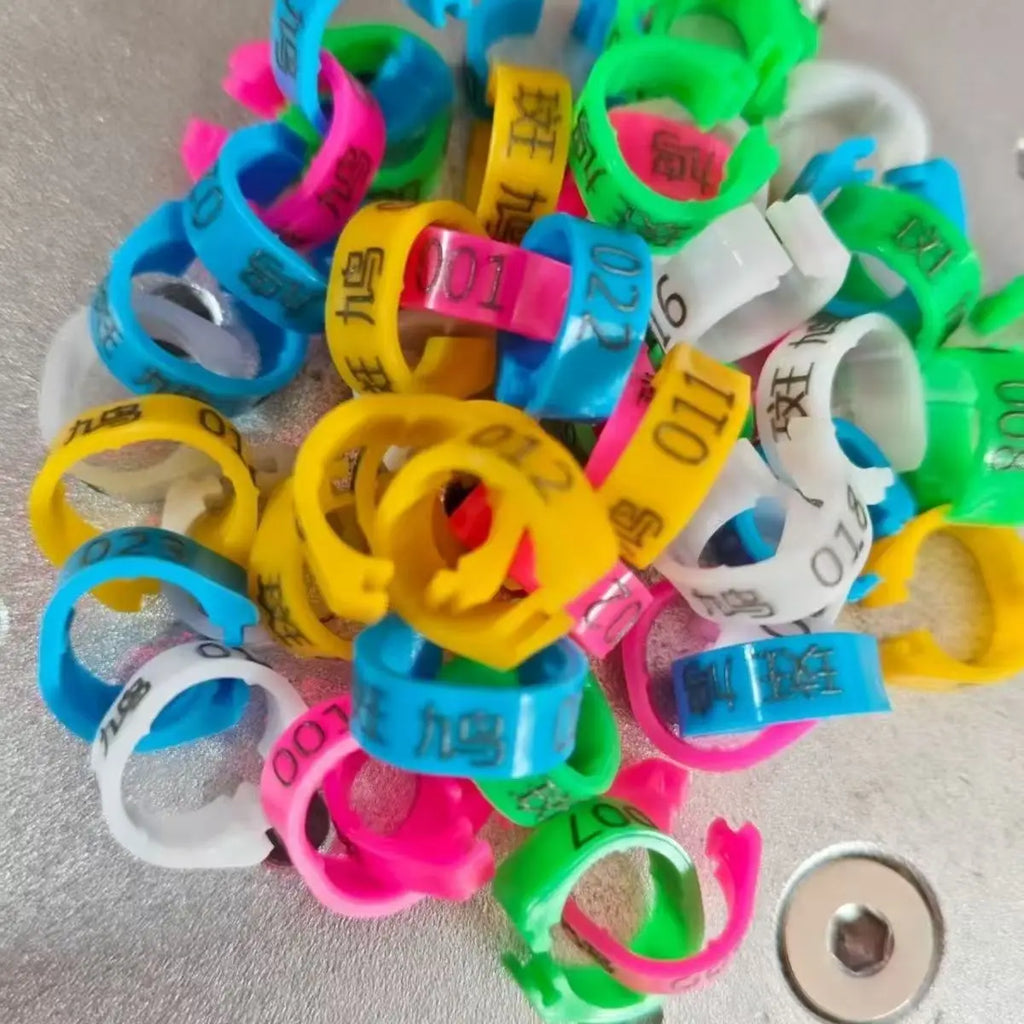 DIY Customized Plastic Pigeon Foot Ring Inner Diameter Suitable All