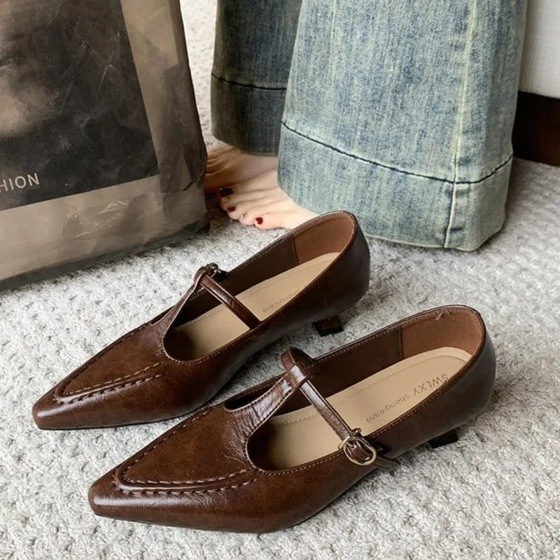 Low Heel Pumps for Women Pointed Toe Heel Mary Jane Shoes Spring Autumn New T-shaped Buckle Strap Ladies Shoe for Women Zpaxo