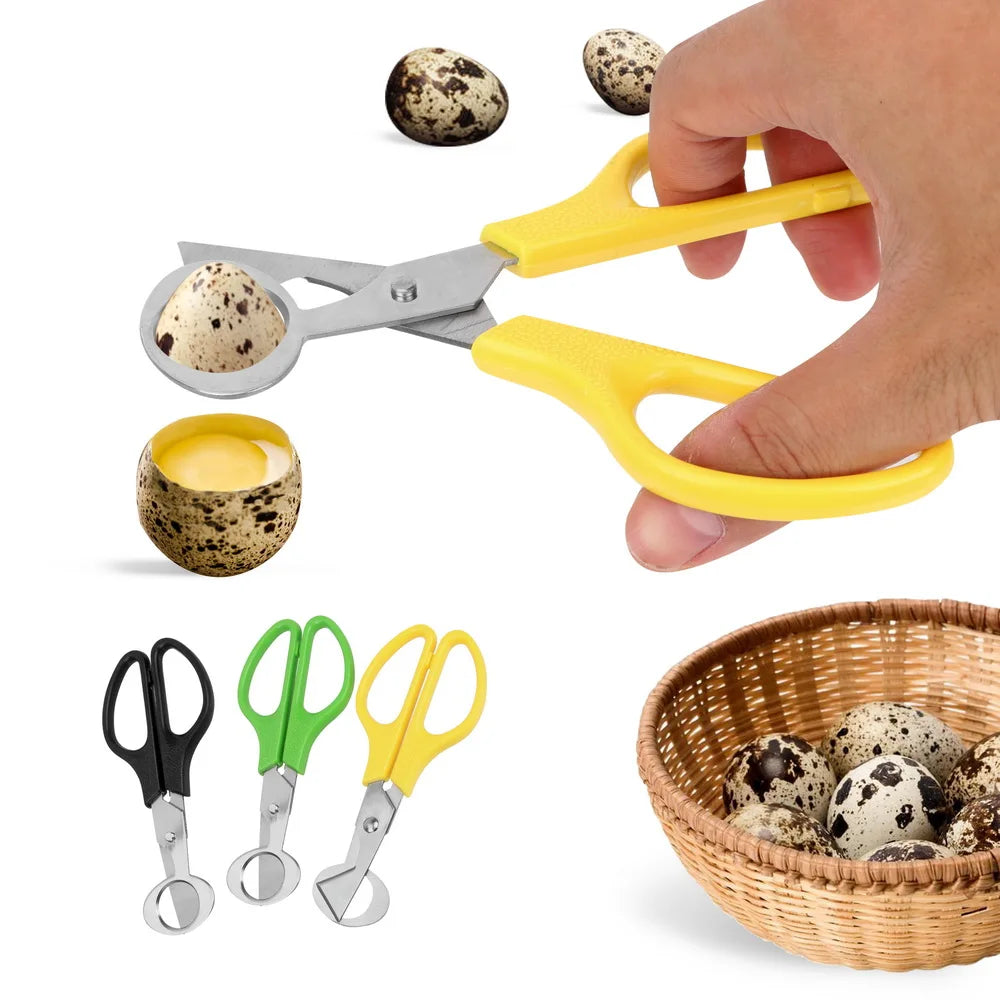 Cigar Cutters Egg Tools Quail Shell Scissors Rust Resistant Stainless