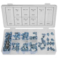 110 Pcs Grease Nipple Fittings Assortment Kit Straight 45/90-Degree Angled Galvanized Metal Grease Nipple Set M6 M8 M10 for Moto Zpaxo 110PCS