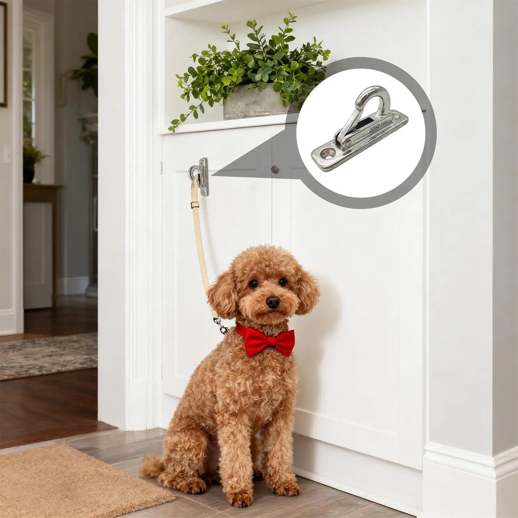 Dog Leashes Holder Heavy Duty Stainless Steel Wall Mount Hook Pet