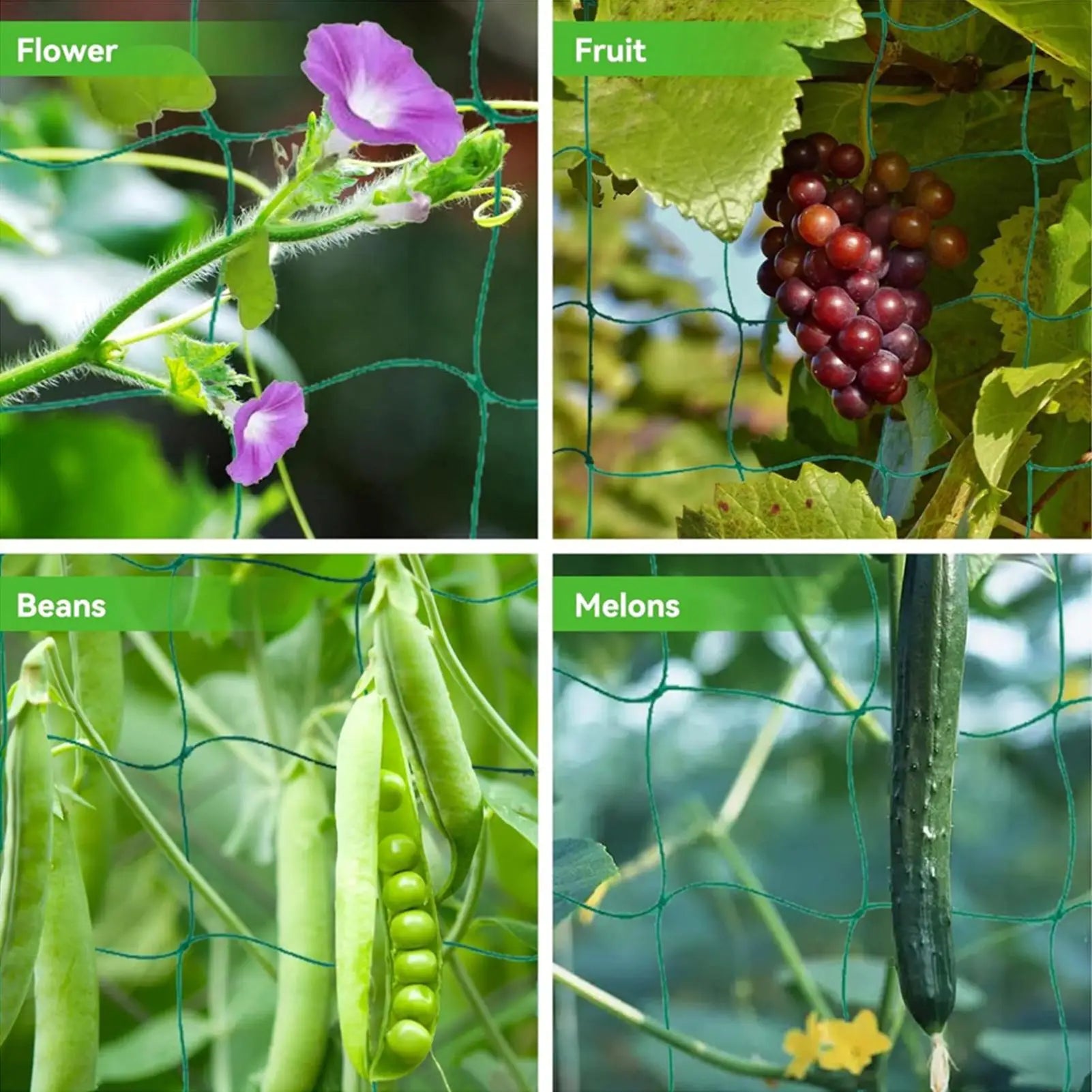 Trellis Netting Climbing Plants Sturdy Plant Net Cucumber Flexible