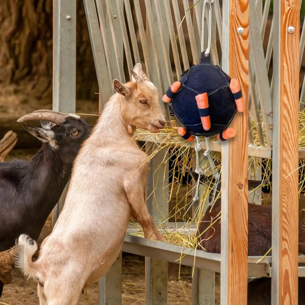 Horse Supports Ball Carrot Slow Feeder Toy Equine Enrichment Boredom
