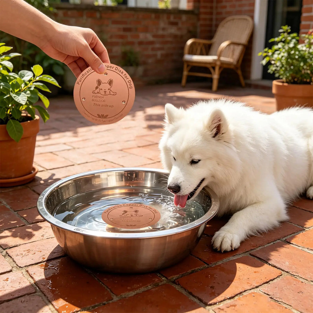 Copper Disk Dog Water Bowl Round Thick Cleaning Dispenser