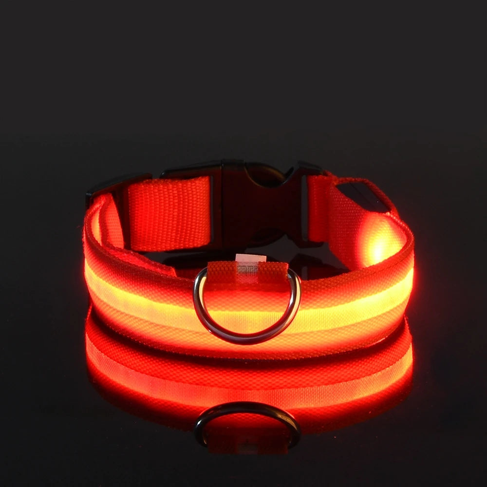 Nylon LED Night Safety Flashing Glow In The Dark Dog Leash Dogs Luminous Fluorescent Pet Dog Collar Zpaxo Red S