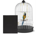 Pet Bird Sandpaper Sheets Fine Grit Abrasive Material Beak Claw Care