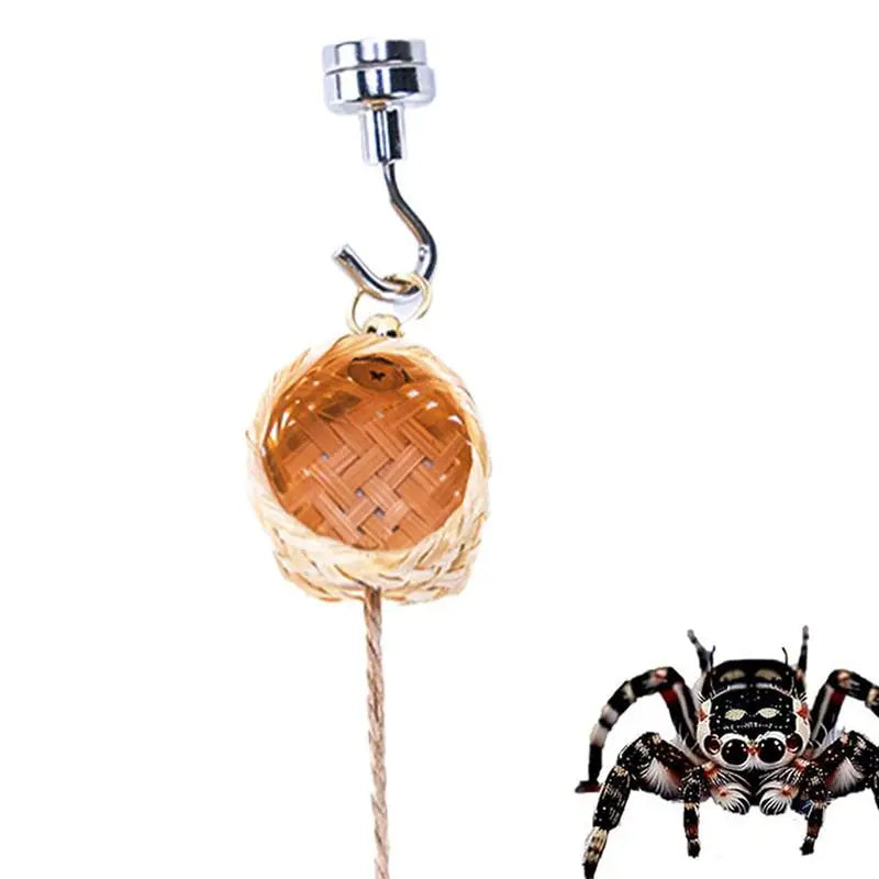 Magnetic Jumping Spider Hideawa Y Pet Habitat Climbing Rope