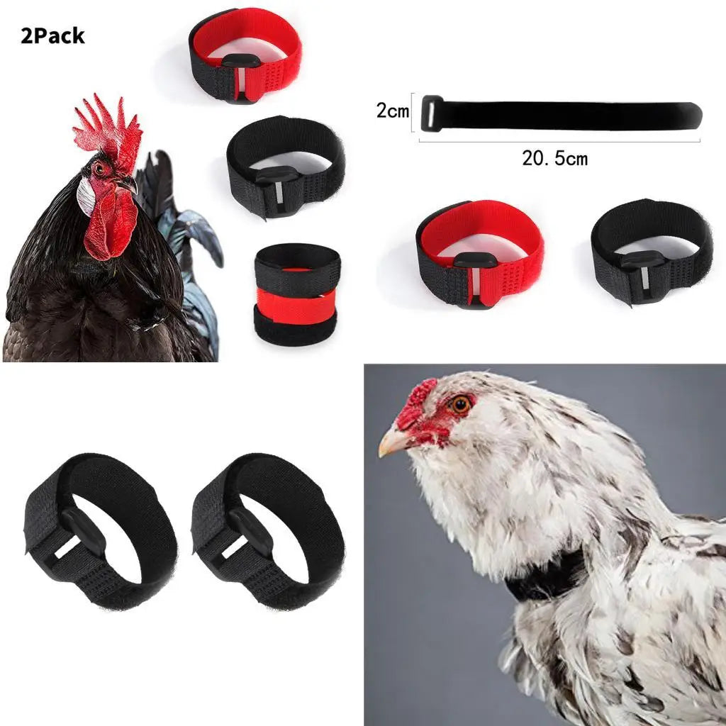 2x Rooster Collar, Chicken Collar Anti-Hook Noise Neckband Noise Neck Belt for Roosters - Chickens from Screaming Zpaxo