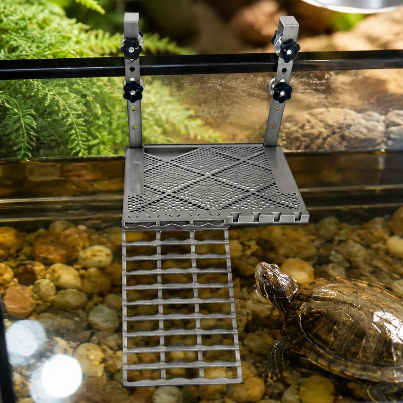 Turtle Basking Area Non-slip Resting Ramp Decoration Food Tank
