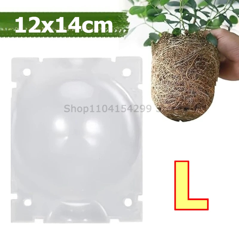 Plant Rooting Ball Grafting Rooting Box Breeding Case High Pressure Plant Root Growing Box for Garden Planting Supply Zpaxo L 1pcs