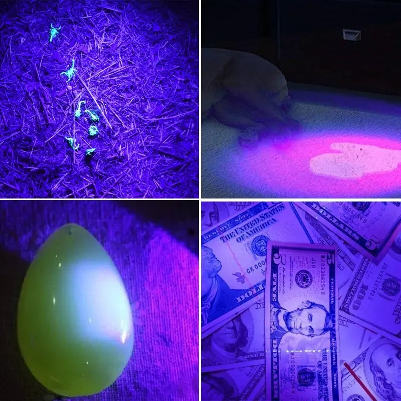 UV Black Light Flashlight 395nm – Pet Stain & Scorpion Detector
