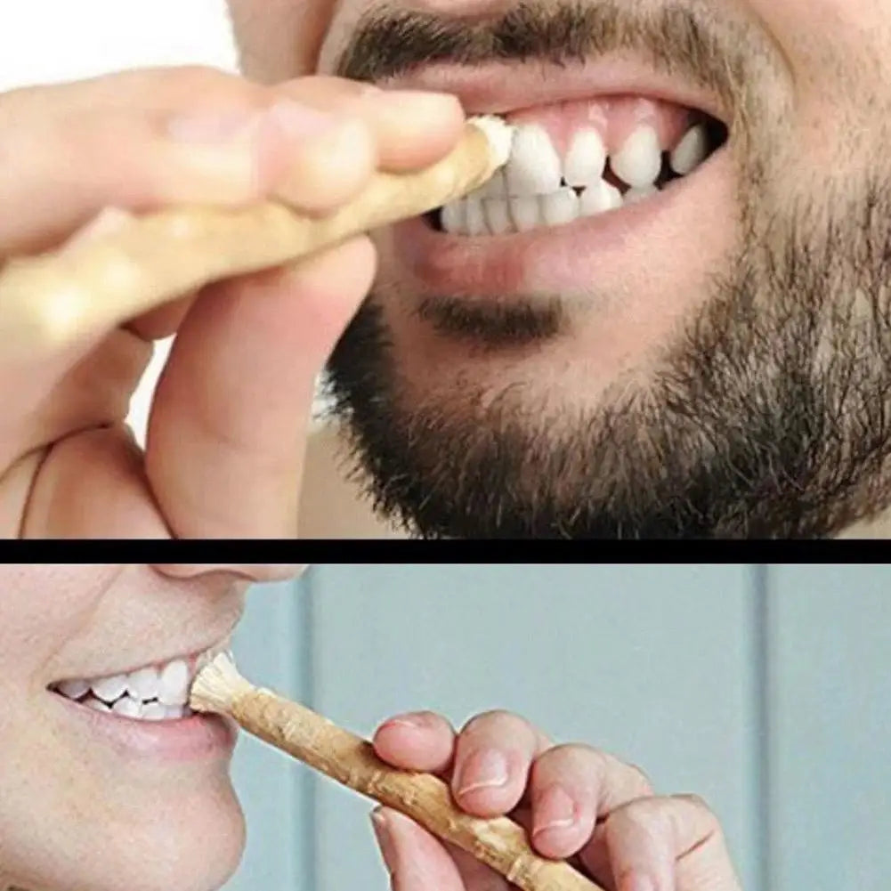 Miswak Natural Wooden Toothbrush – Siwak Arak Oral Care Stick Natural Toothbrush Zpaxo