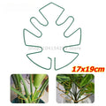 Anti-toppling Plant Stem Support No Nail Needed Multi-purpose Flower Climbing Stem Holder Vine Branch Monstera Stabilizer Zpaxo Green 5PCS