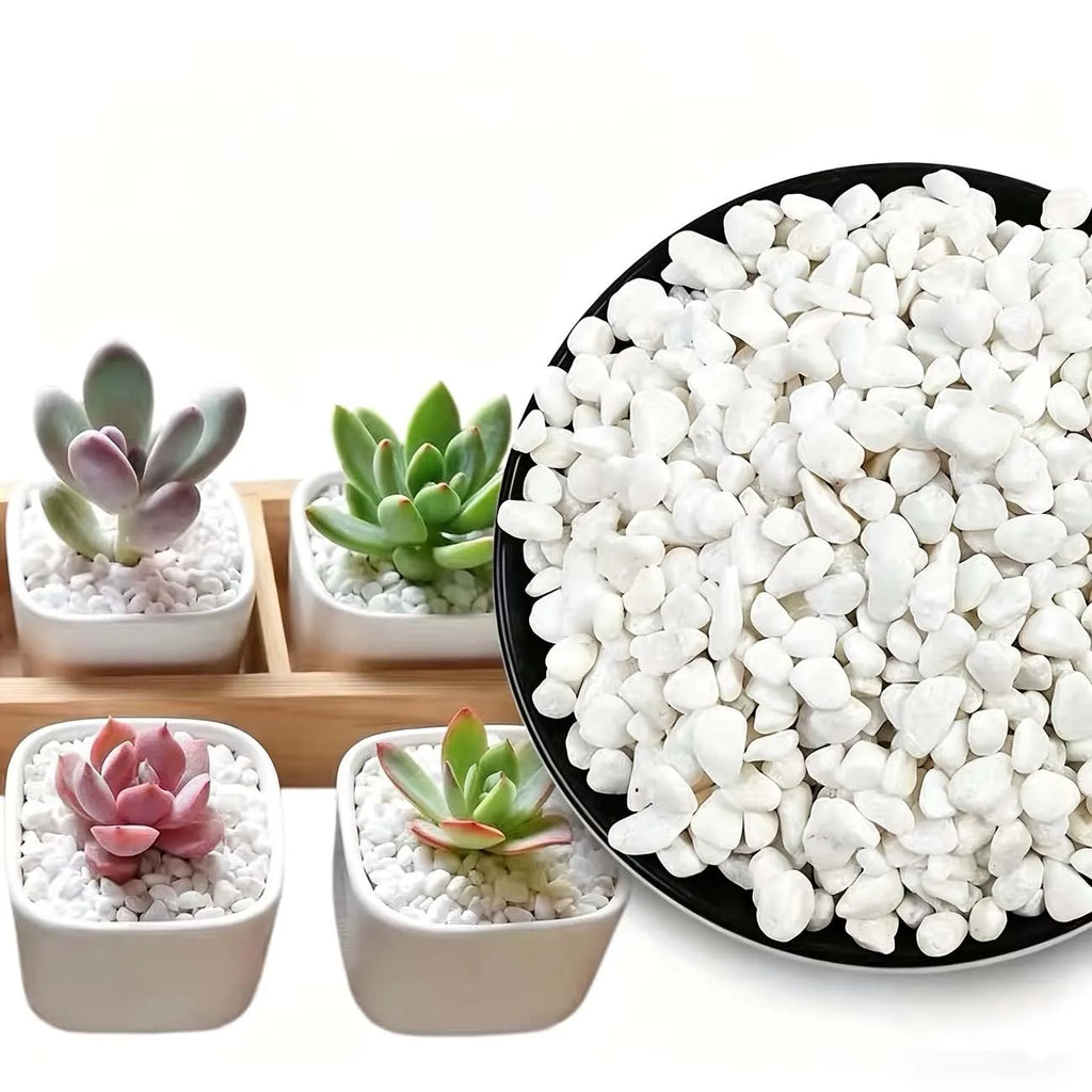 White Decorative Stones 100/200g – Aquarium, Vase & Garden Decorative Stones Zpaxo