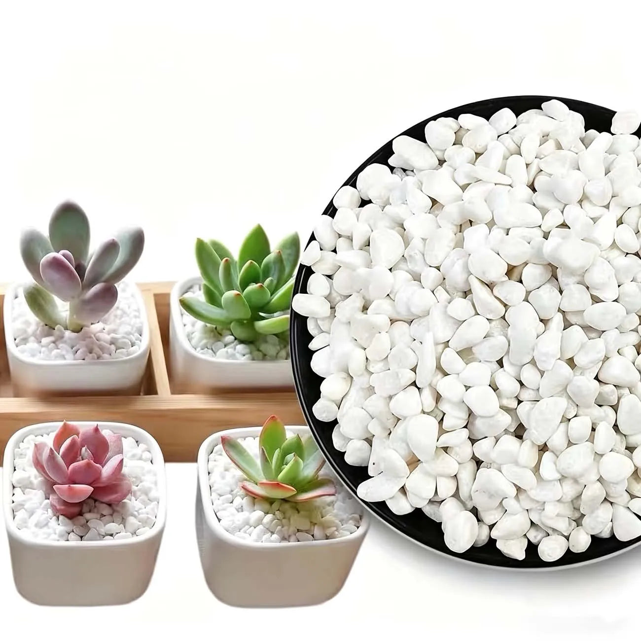 White Decorative Stones 100/200g – Aquarium, Vase & Garden Decorative Stones Zpaxo