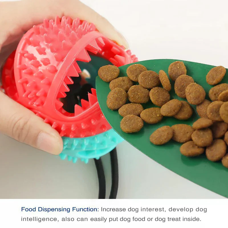 Dog Toys Suction Cups Pull Ropes Food Dispensing Balls Tpr Pet Zpaxo