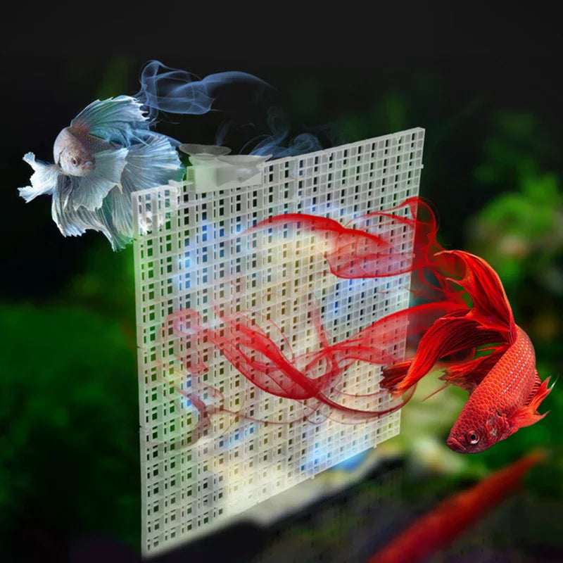 Filter Grid Bracket Bottom Divider Plate Filter Plate Detachable Spliceable Fish Tank Isolation Plate Upper Cover Net Bottom Zpaxo