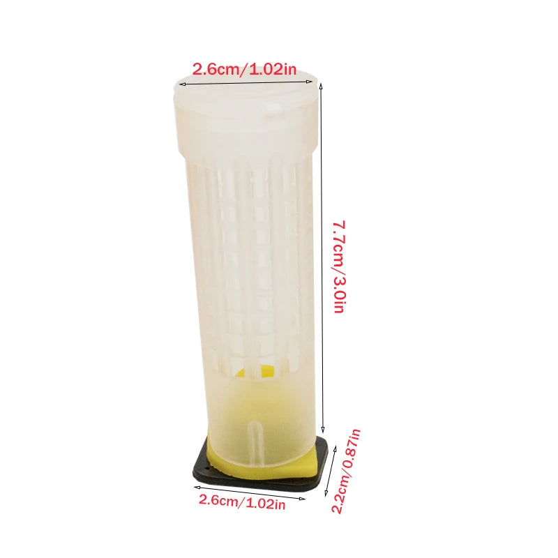 Wholesale Beekeeping Queen Bee Rearing System Protection Cages