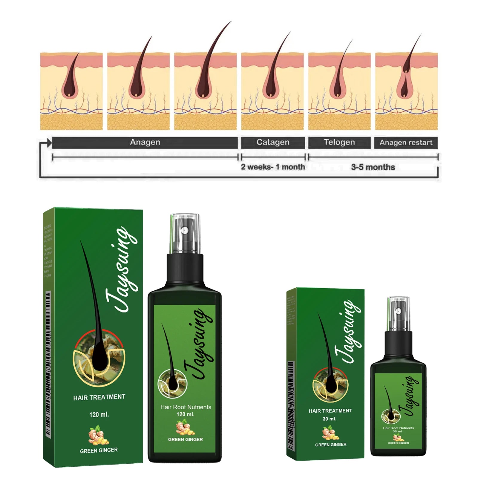 Ginger Hair Growth Spray | Anti-Baldness Scalp Treatment Serum Hair Growth Spray Zpaxo
