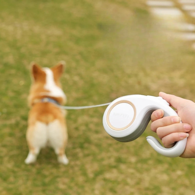 Popular pet dog teddy automatic retractable leash cat dog leash 3m outdoor dog walking leash Zpaxo