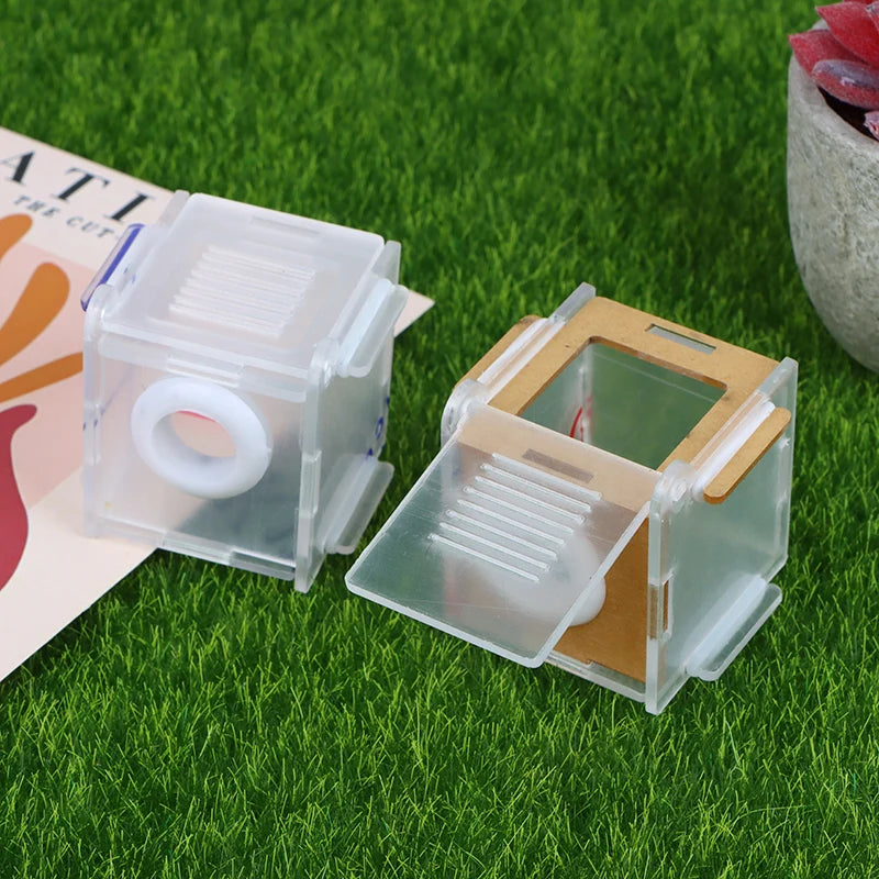 Ant Nest Glass Tube Mini Active Zone Insect House Acrylic Farm 15