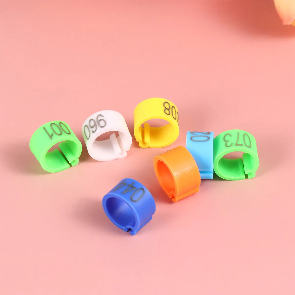 Digital Bird Identification Plastic Opening Foot Rings Bright Numbers
