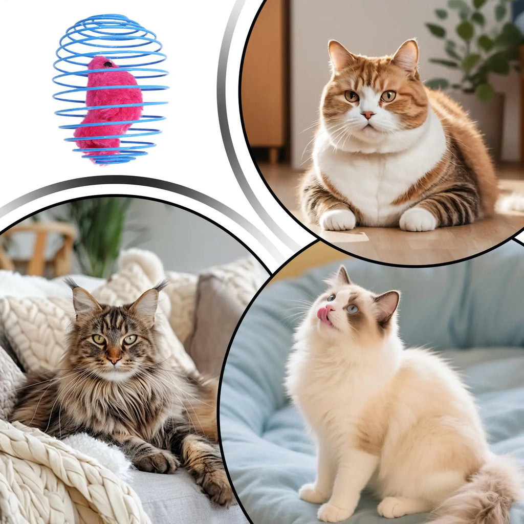 Cat Spiral Toy Interactive Fun Colorful Stretchable Spring Indoor