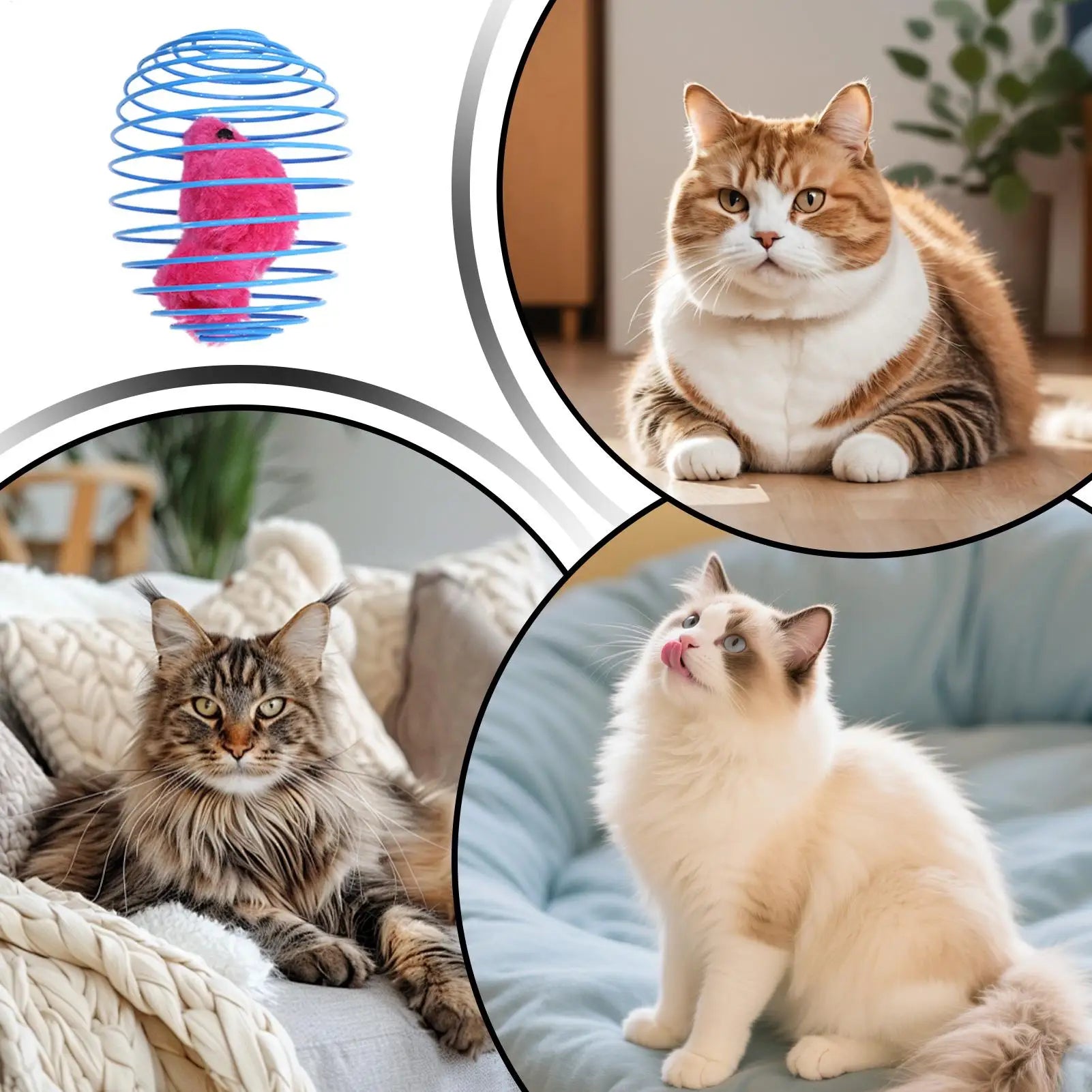 Cat Spiral Toy Interactive Fun Colorful Stretchable Spring Indoor