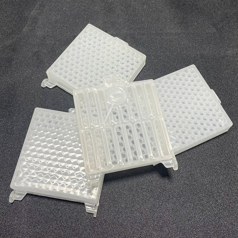 Beekeeping Transport Queen Cages Design Bee Post Cage Transparent Box