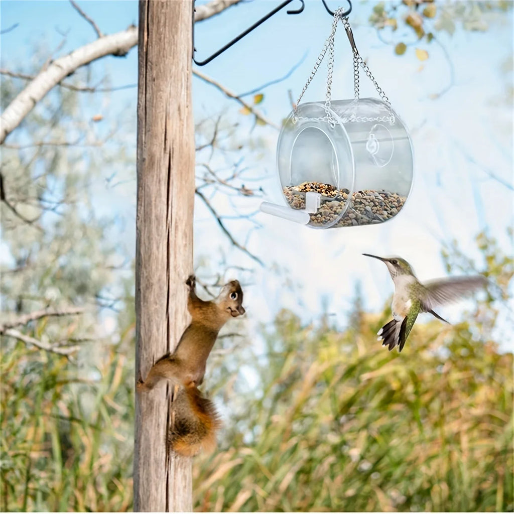 Round Acrylic Bird Feeder Courtyard Hanging Suction Cup PMMA