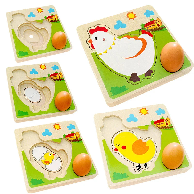 Wood 3D Puzzle Chick Grow Hens Laying Eggs Process Jigsaw Learning