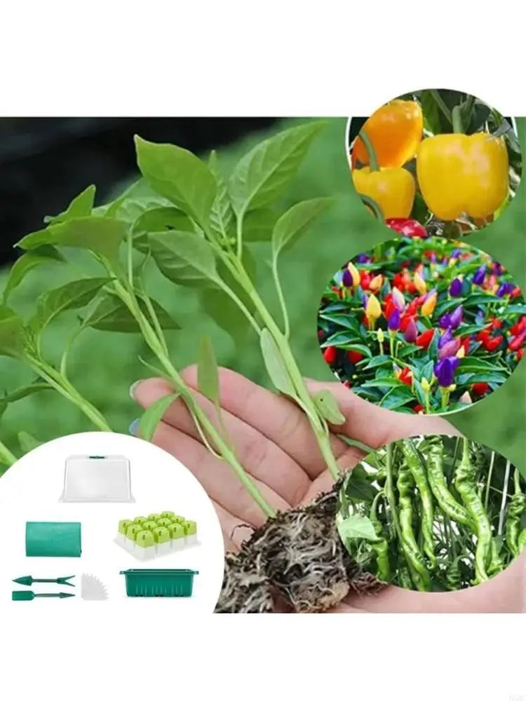 Seedling Tray Mini Greenhouse Starter Kits Indoor Outdoor Planting