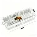 Beekeeping Plastic Transport Cage Bee Insectary Box Mailing Introduce