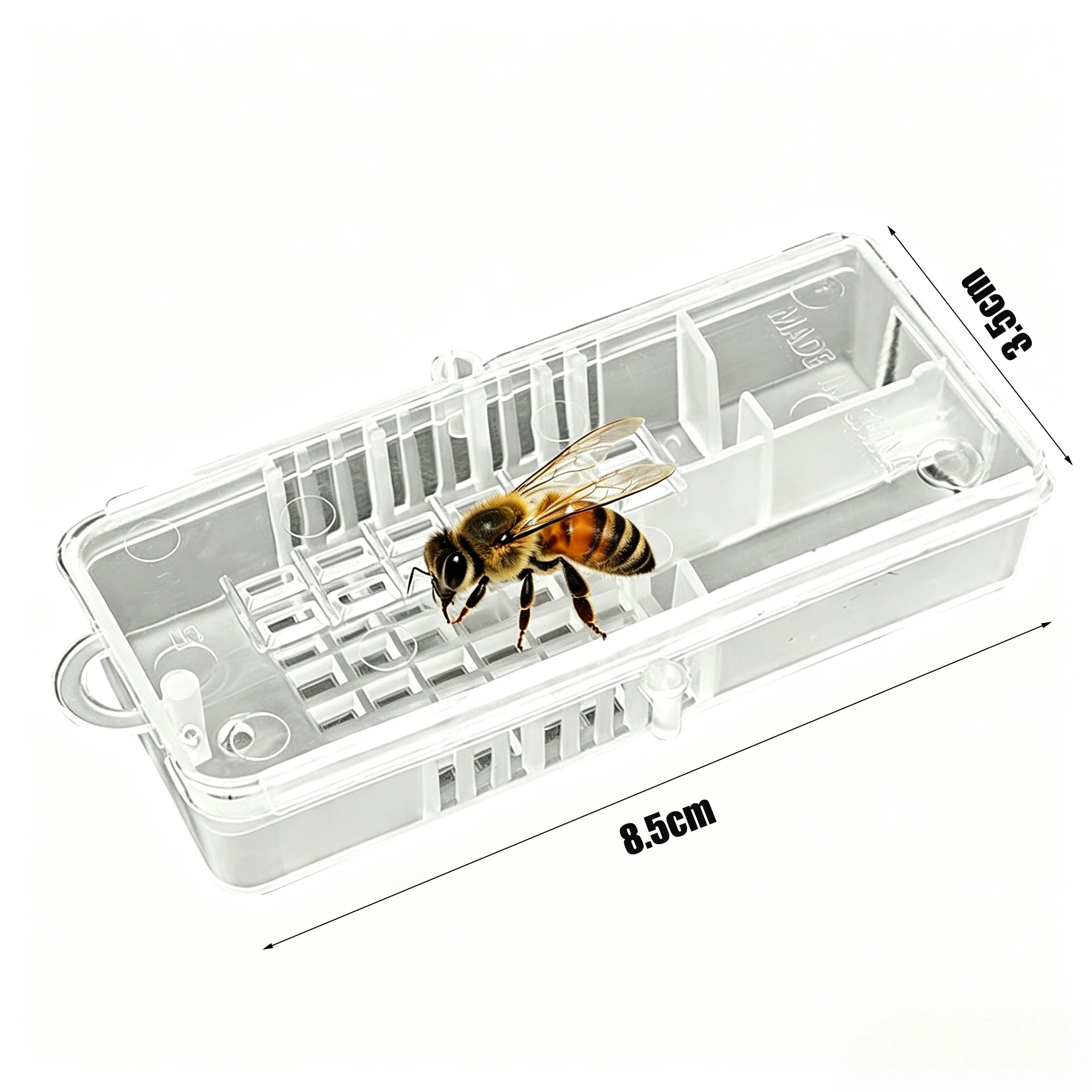 Beekeeping Plastic Transport Cage Bee Insectary Box Mailing Introduce