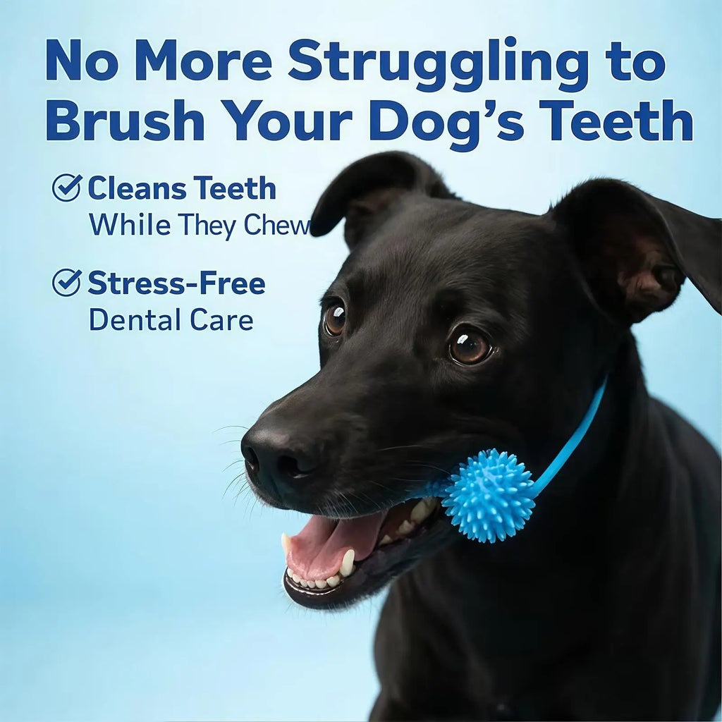 Puppy Teething Toys Double-action Training Chewer Sticks Pet Supplies