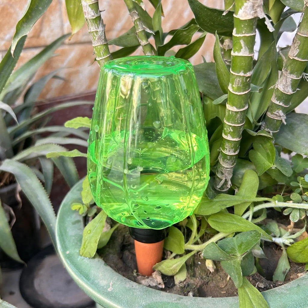 350ml Self-Watering Globe | Automatic Plant Drip Irrigation Plant Watering Globe Zpaxo
