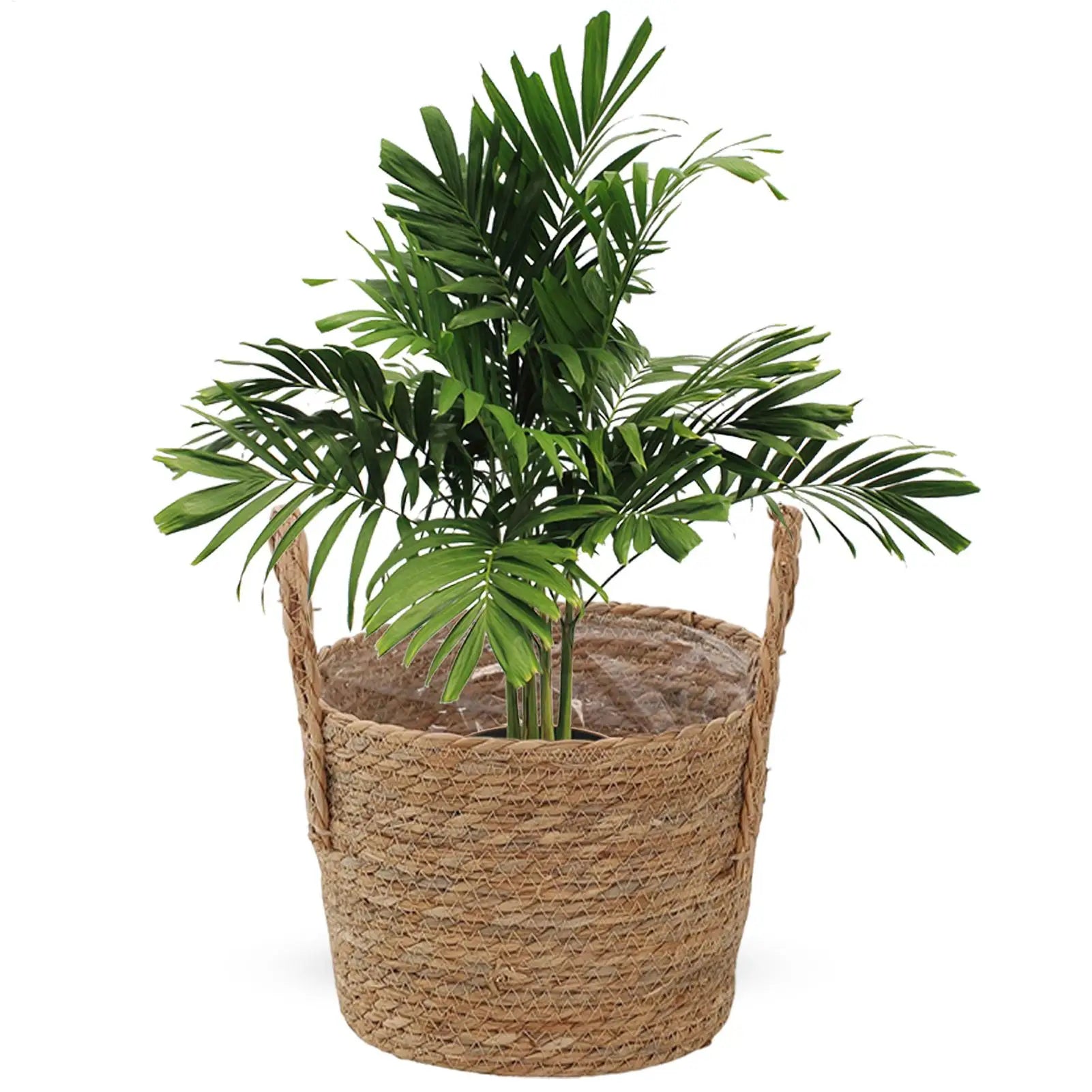 Wicker Rattan Straw Planter Basket – Home & Garden Decor Wicker Planter Basket Zpaxo