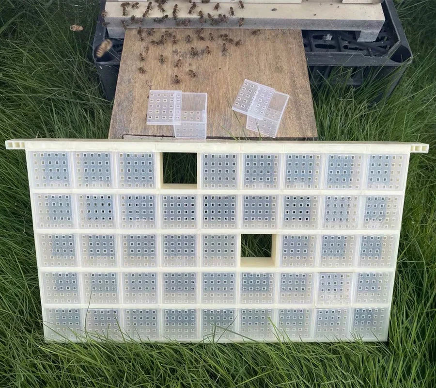 Bee Multifunctional Plastic King Storage Multi Gateway Queen Cage 45