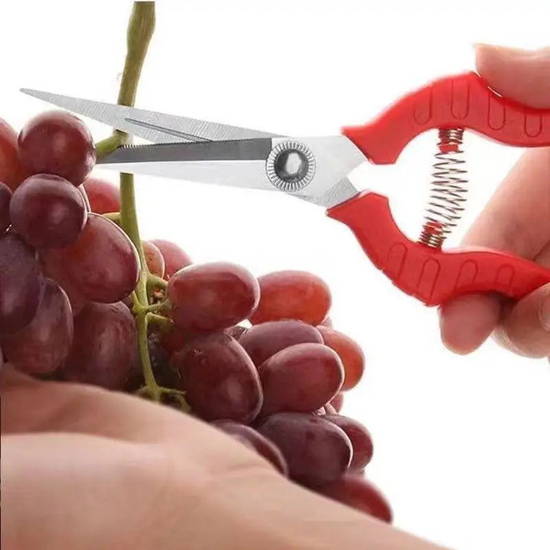 Ergonomic Fruit Picking Garden Shears | Stainless Steel Pruning Scissors Pruning Shears Zpaxo