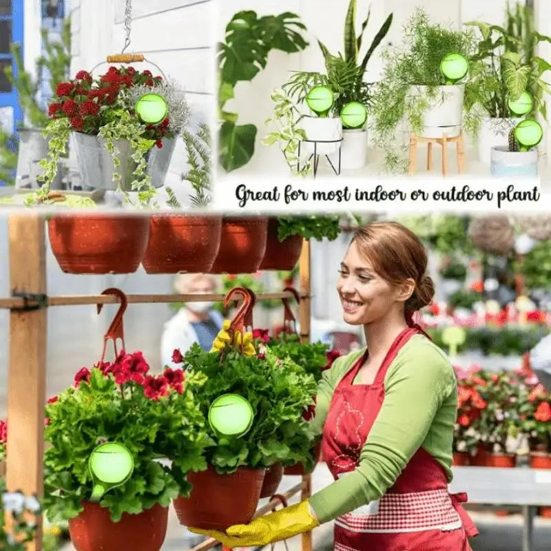 5pcs Self-Watering Globes – Drip Irrigation for Indoor/Outdoor Pots, Gardens, Low-Maintenance Plant Care Zpaxo