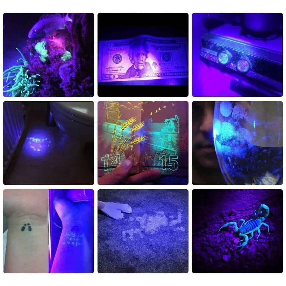 POCKETMAN 365/395nm UV Black Light Flashlight | Type-C USB