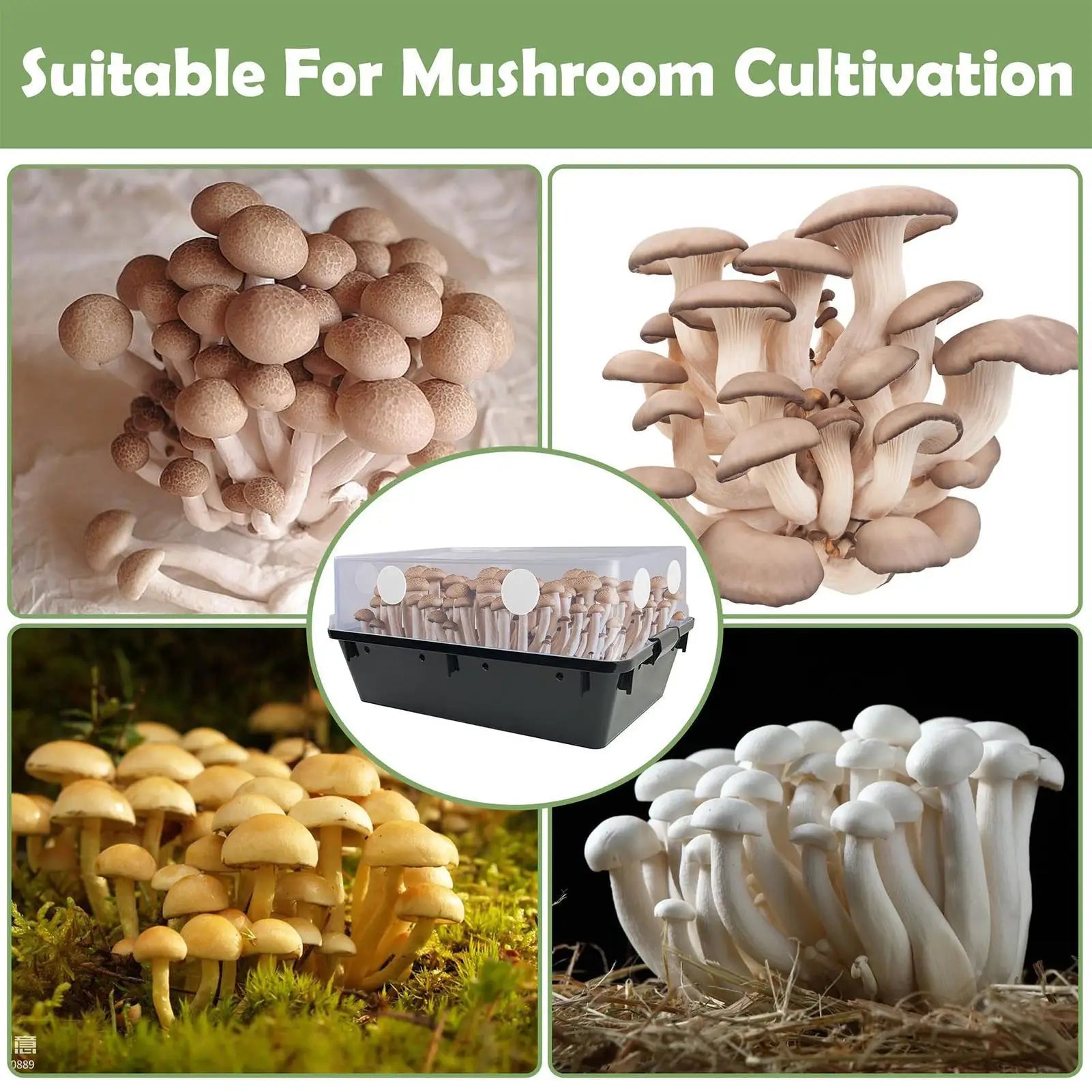 24x Mushroom Adhesive Filter Discs Moisture Preservation Grow Box