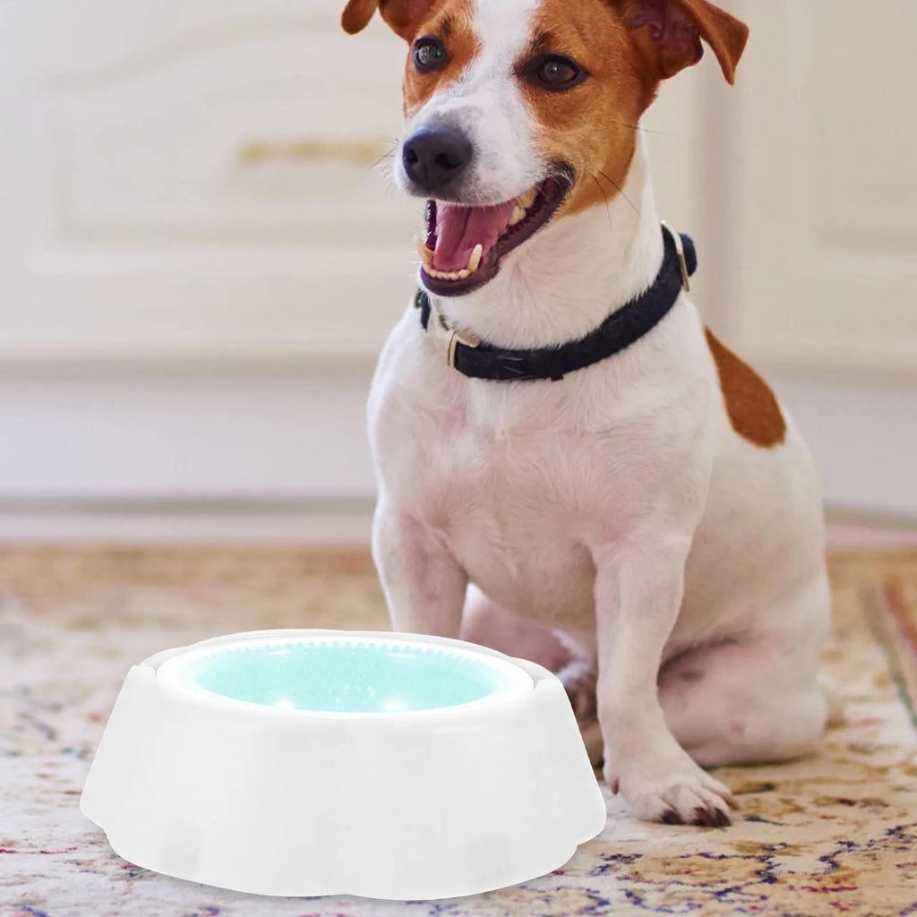 Pet Cooler Bowl Premium PP Material Low Temperature Retention Pets