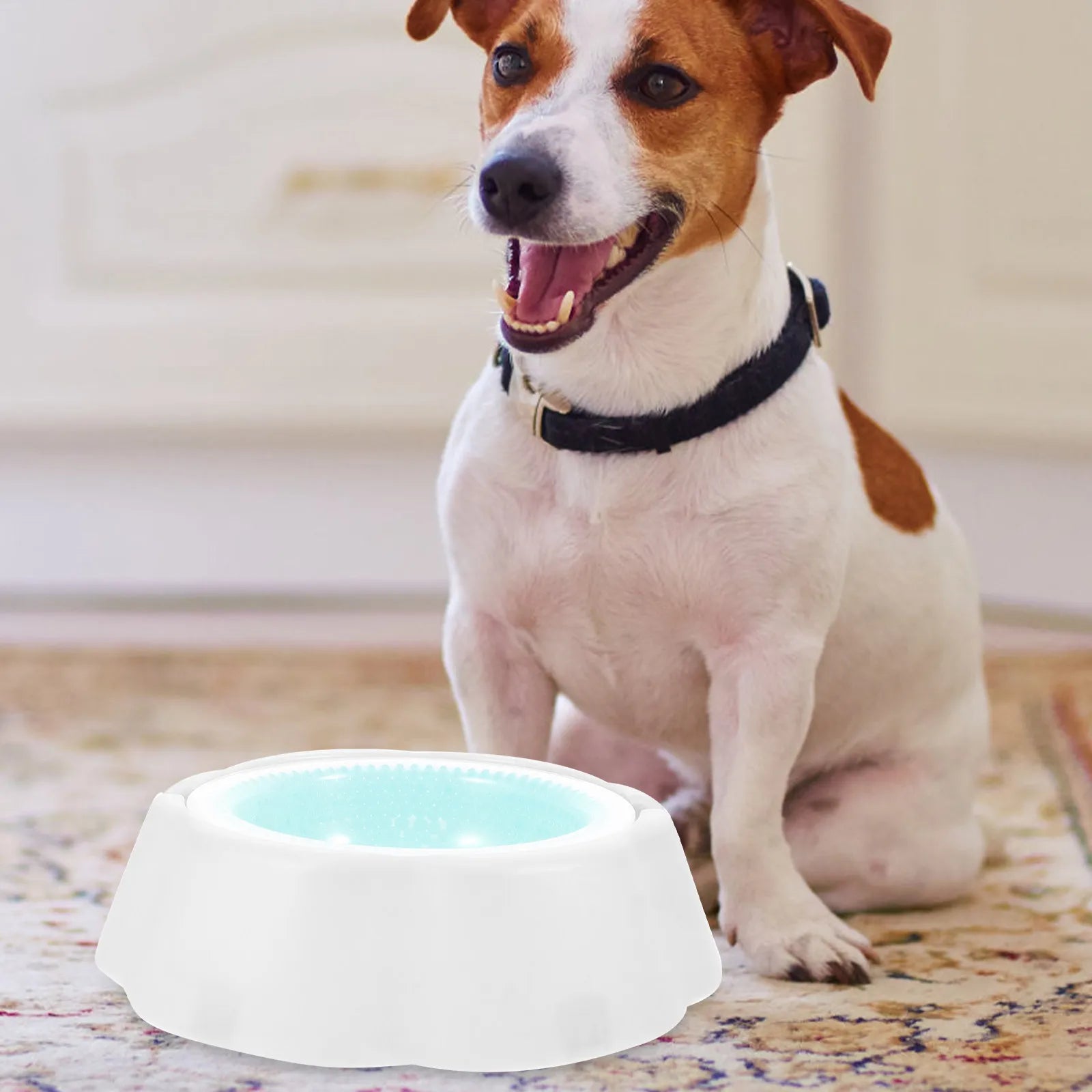 Pet Cooler Bowl Premium PP Material Low Temperature Retention Pets