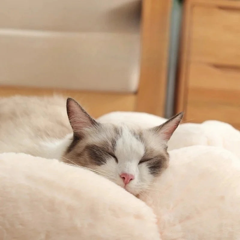 Comfortable Sleep Pet Bed Unique Flower-shaped Indoor Outdoor Use Dog